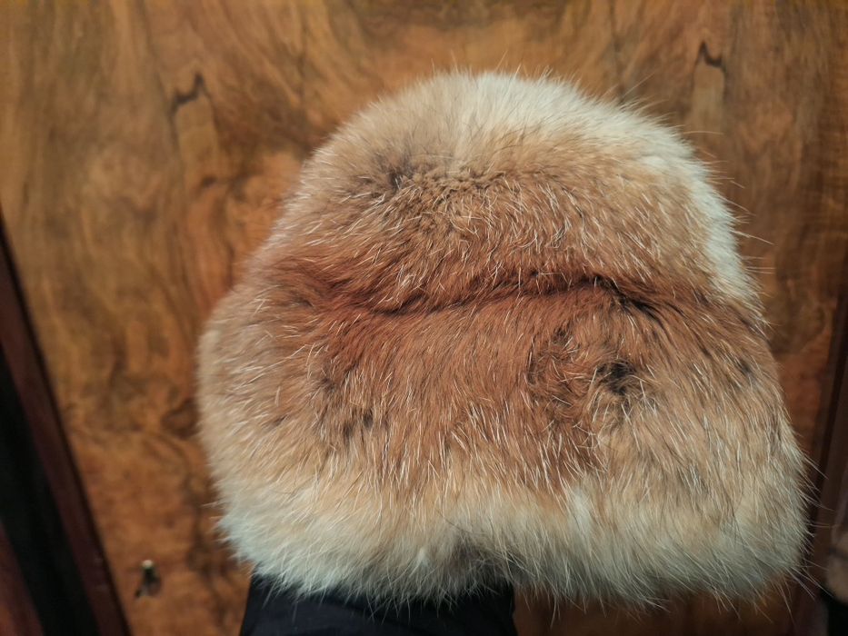 Căciulă de vulpe polara