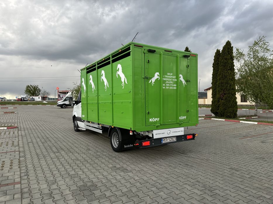 Mercedes sprinter 519 , transport animale , iveco daily
