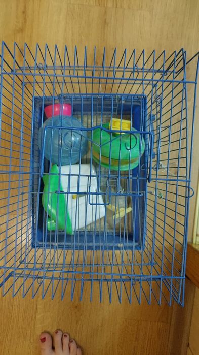 Клетка для грызунов