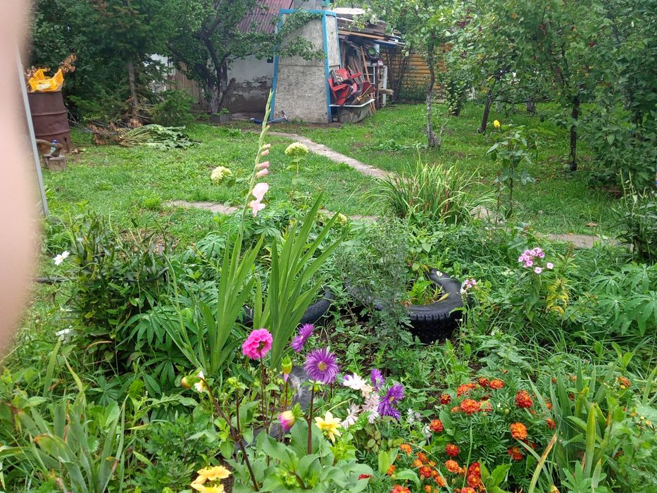 Продам дачу за с.Тарханка