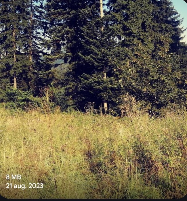 Pf vand teren Predeal