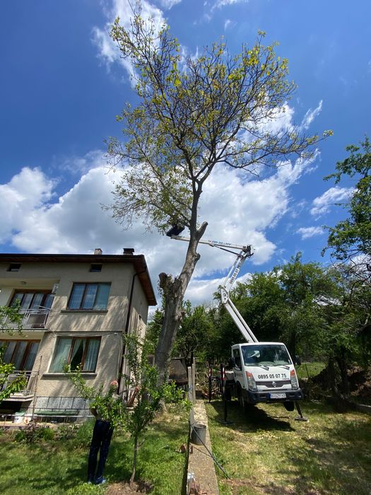 Автовишка под наем