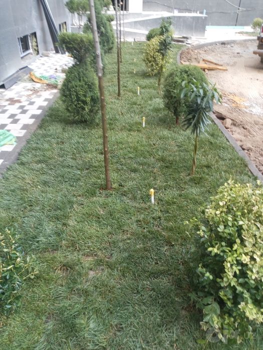 gazon.    tayorlari. bor. gularimiz bor. kimga. kerak bulsa. aloqaga c
