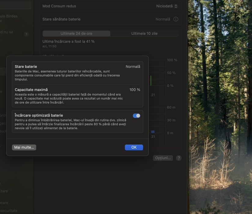 MacBook Air M4 – NOU, 512 Gb