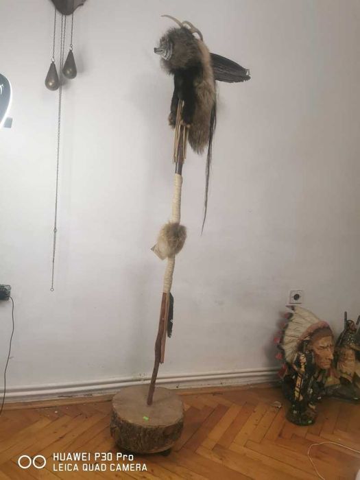 Cap de lup decor tenta indiana