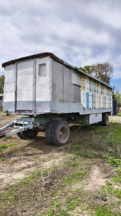 Прицеп пасика в продаже