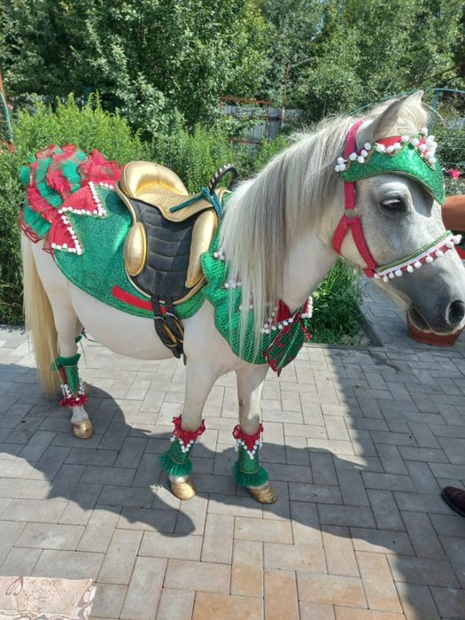 Аренда, кареты, пони