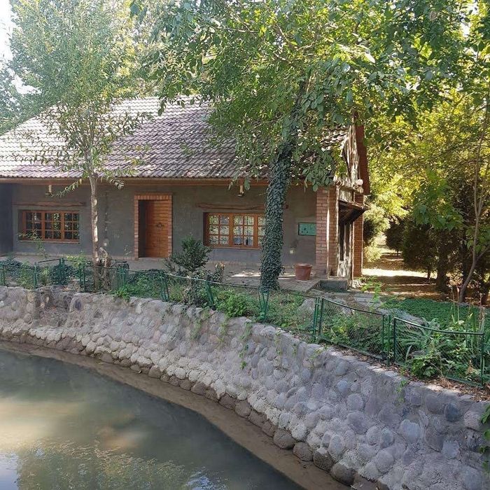 Чингельды. 1,5 гектара