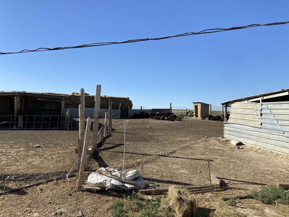 Фазенда қора сатылады