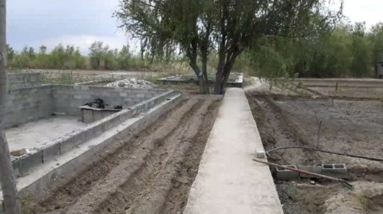 Кул сотилади срочно даре буйида