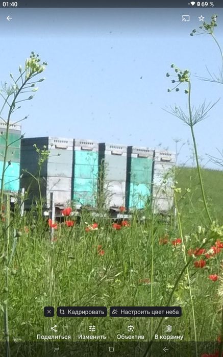 Улья, деревянные.