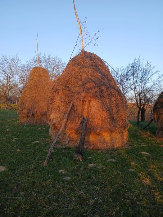 Vând  baloti de fân
