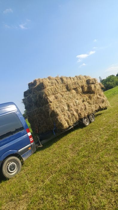Vând baloți de lucernă și fan