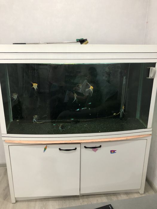 Продам аквариум 350 л