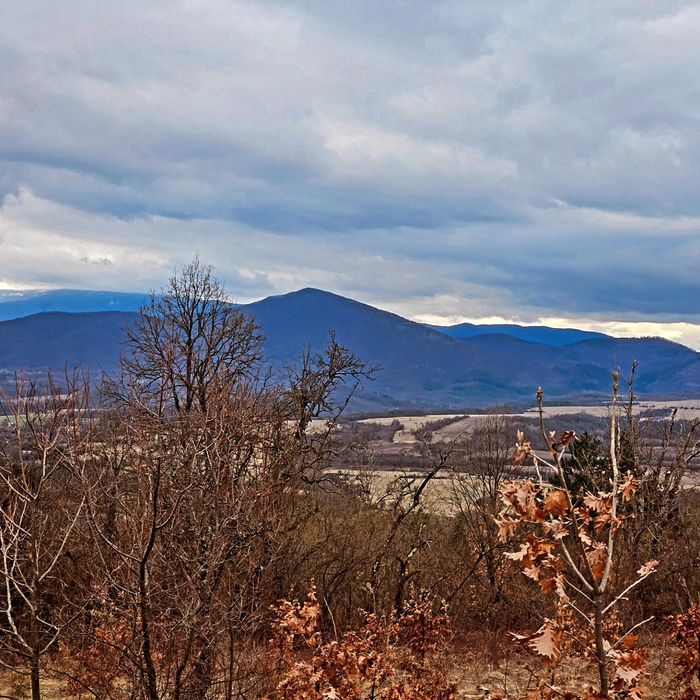 Продава се Парцел в с. Попрусевци, Област Велико Търново - 1200 кв.м за 8 €/кв.м - Снимка #3