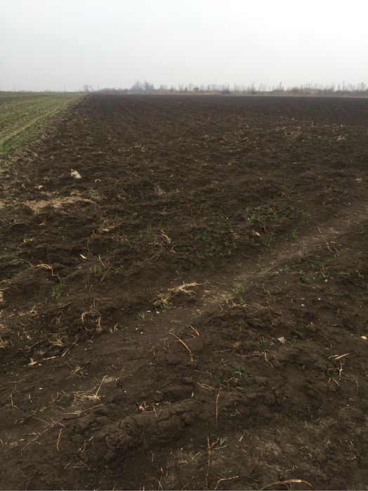 Vand sau inchiriez teren intravilan DJ 101 C Lipia