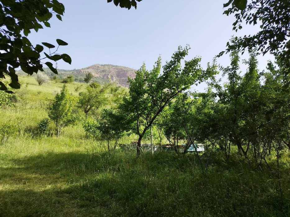 Дом-дача в горах 23 сот {Нанай]