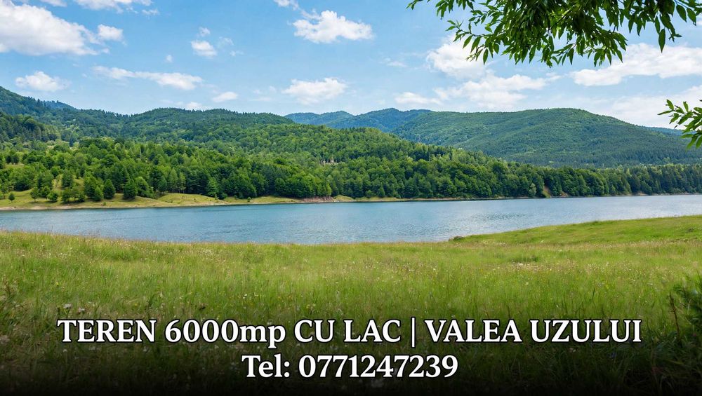 Teren 6000mp cu Lac | Valea Uzului | Zonă Turistică de Top | Utilități în dezvoltare