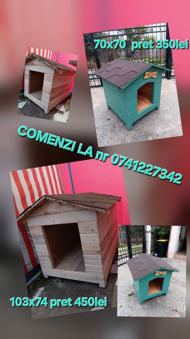 Cusca catel pisici la comanda