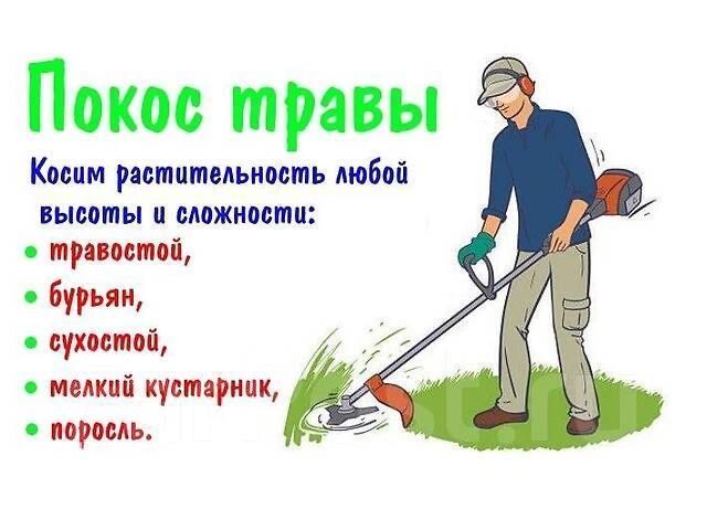 Покос травы, поросль