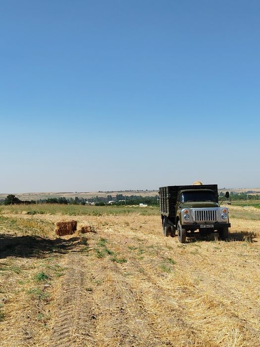 Gaz 52 Srochni sotiladi. Karopka zadnimos zam hama yoğ:53 moshin