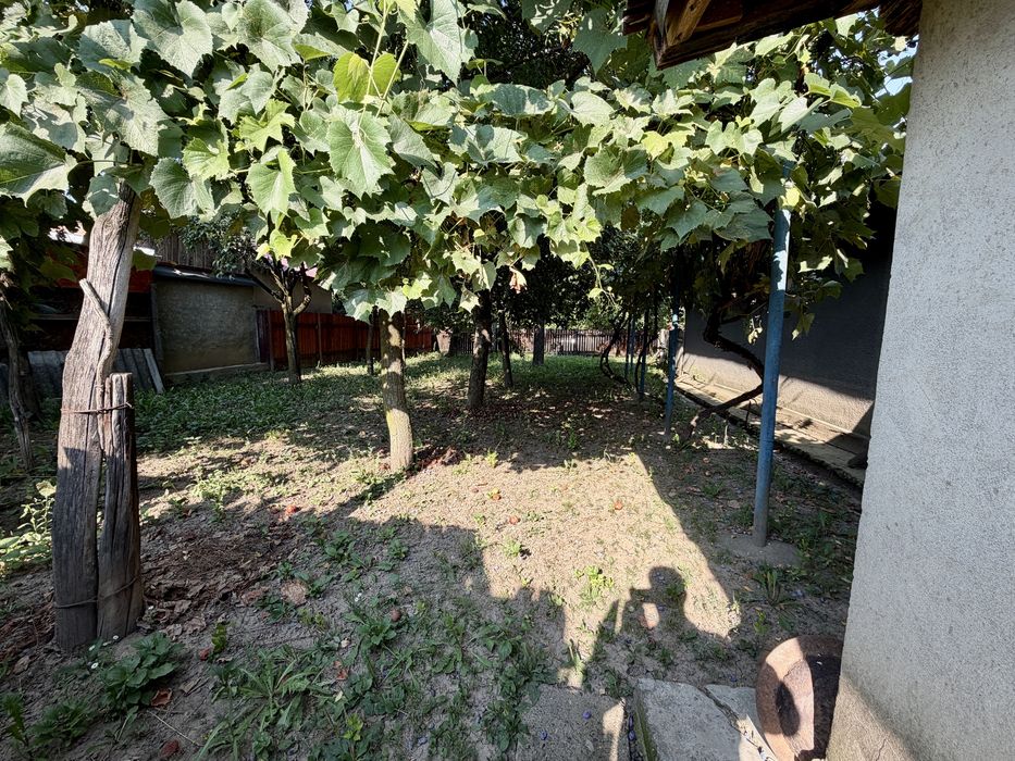 Casa plus teren Filipesti (20km pana in bacău)