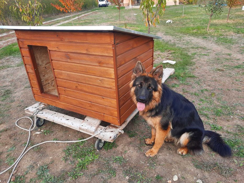 Cuscă coteț caine PREMIUM, izolată cu polistiren