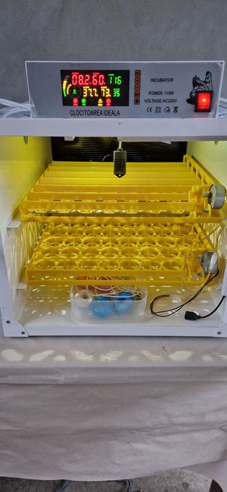 Incubator, clocitoare 110 oua MIP 110