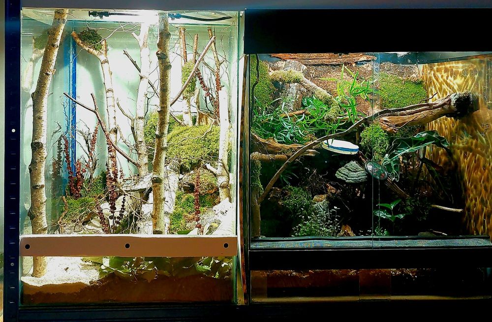 Аквариуми и терариуми