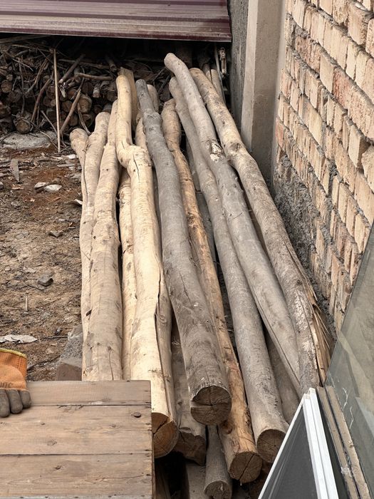 Булорлар сотилади