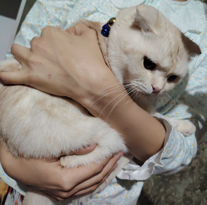 Tukli vaginaning fotosurati