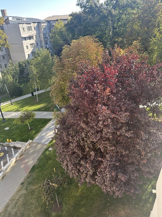 De vanzare Apartament cu 2 camere