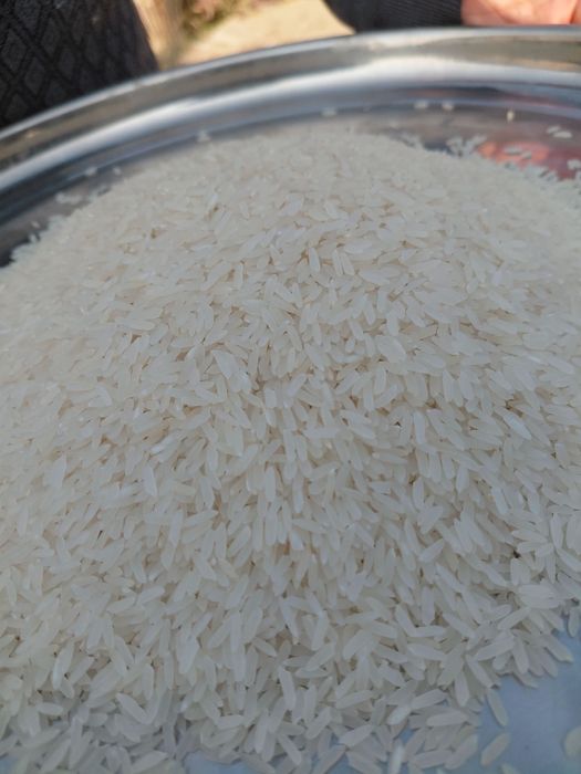 Олий навли хоразм гуручлари