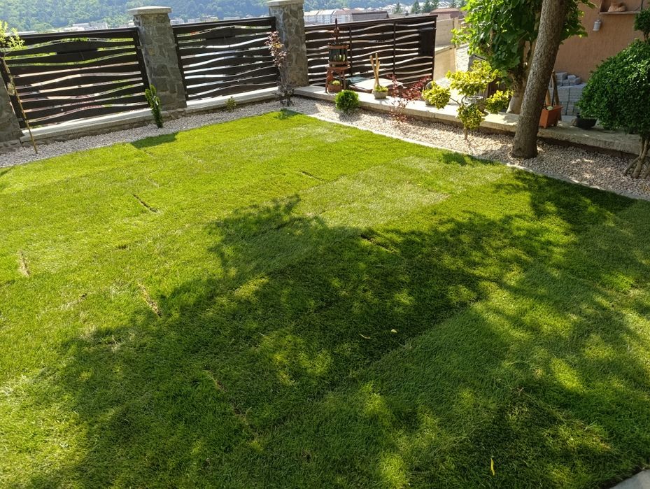 Irigații,Rulou de gazon sau însămânțat Salaj