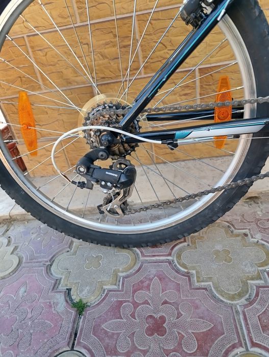 X - Fact 24 цола. .