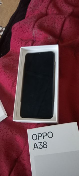 Казыгурт ауданы сарапхана