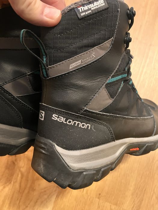 Salomon toundra ghete