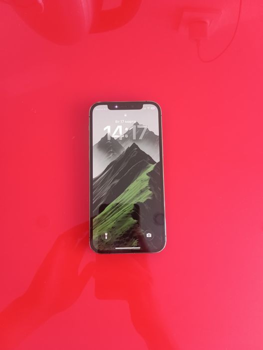 iPhone 12 Pro Graphite