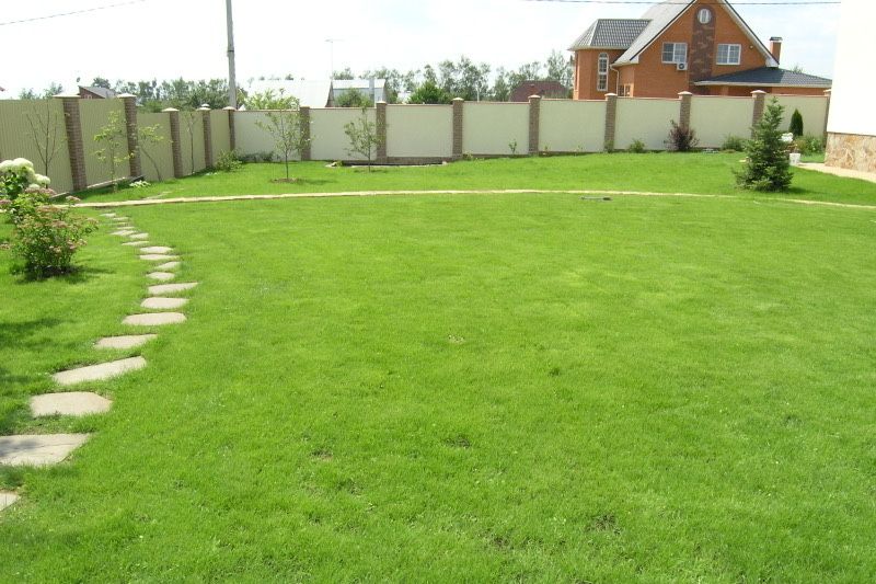 Газон натуральный