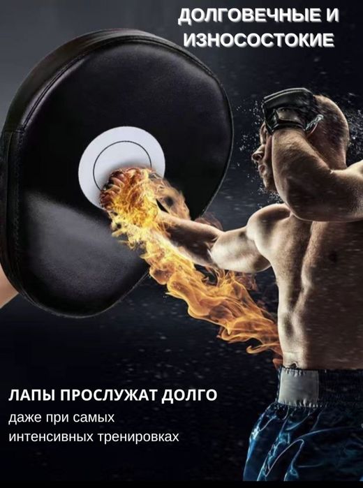 Лапы тренировочные для единоборств ( в наборе 2 шт)