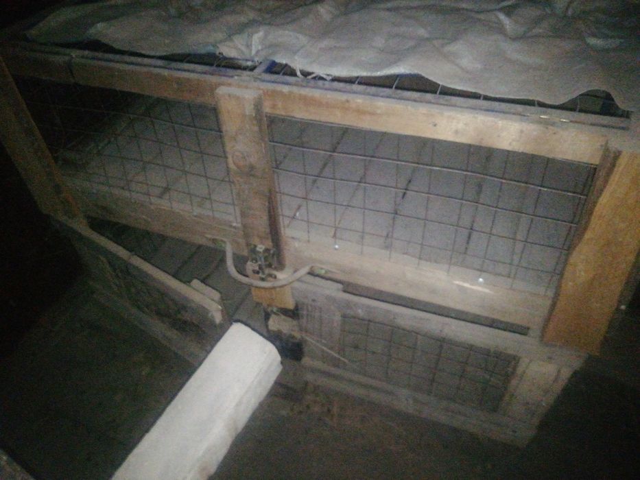 Продам клетки для кроликов