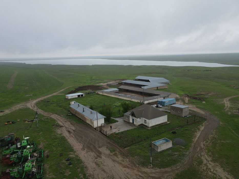 Дайын Қора 800-га жер телімі сатылады