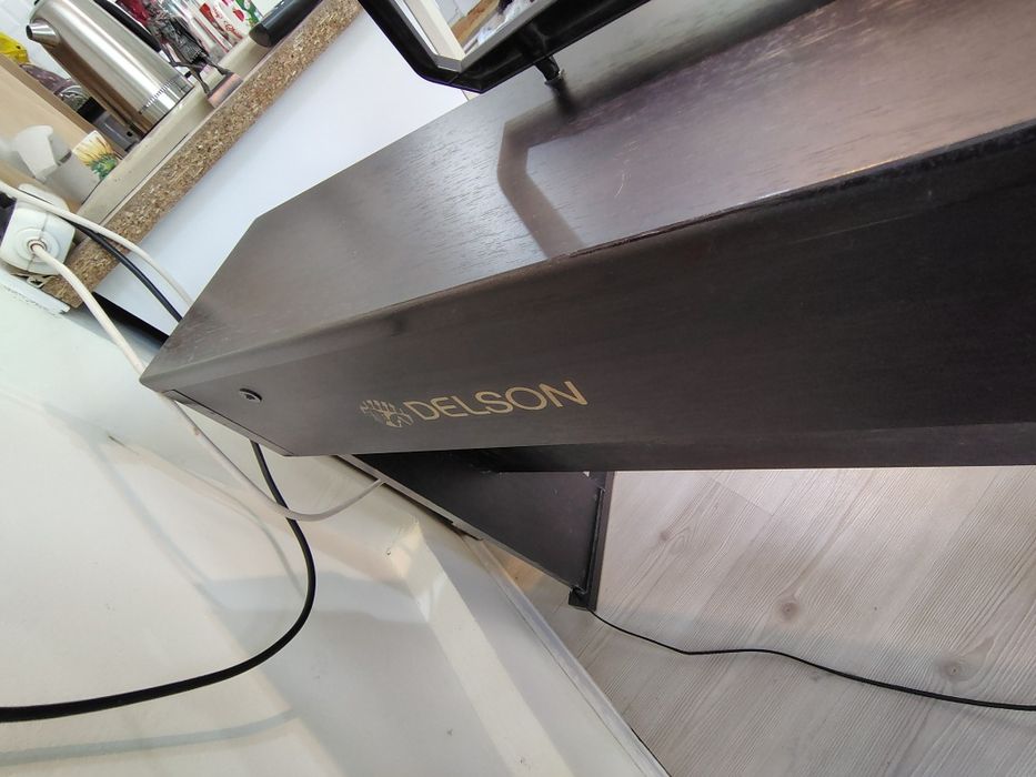 Orga Pianina DELSON NP10