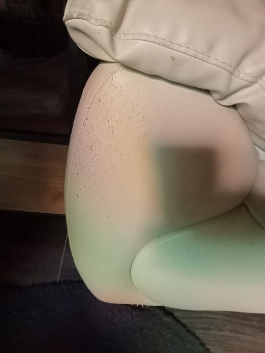 Fotoliu confortabil Elvira