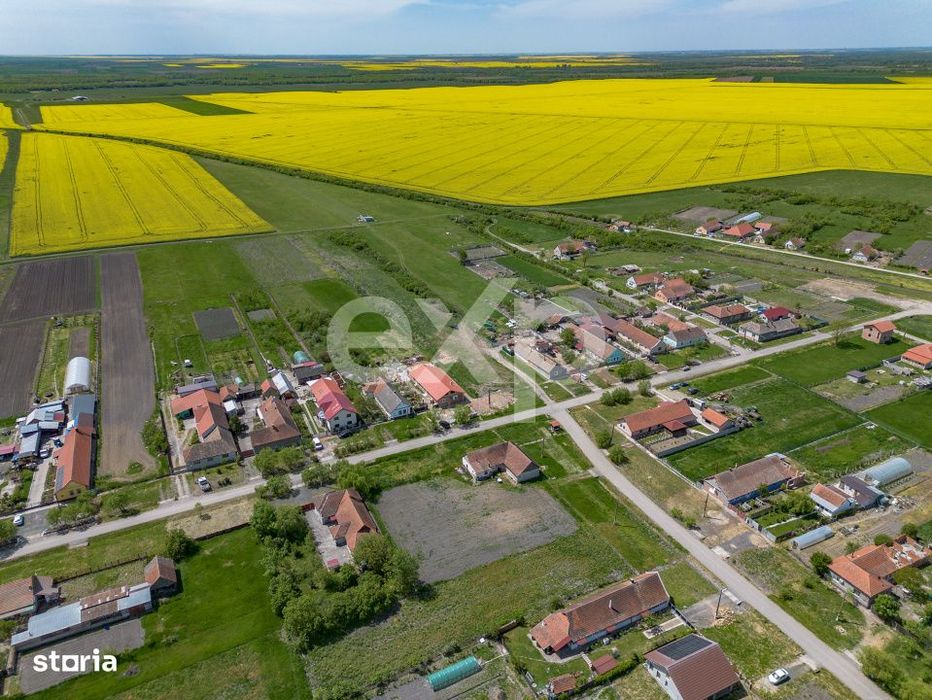 De Vanzare: 1.448 Mp De „Liniște Pură” La Nițchidorf