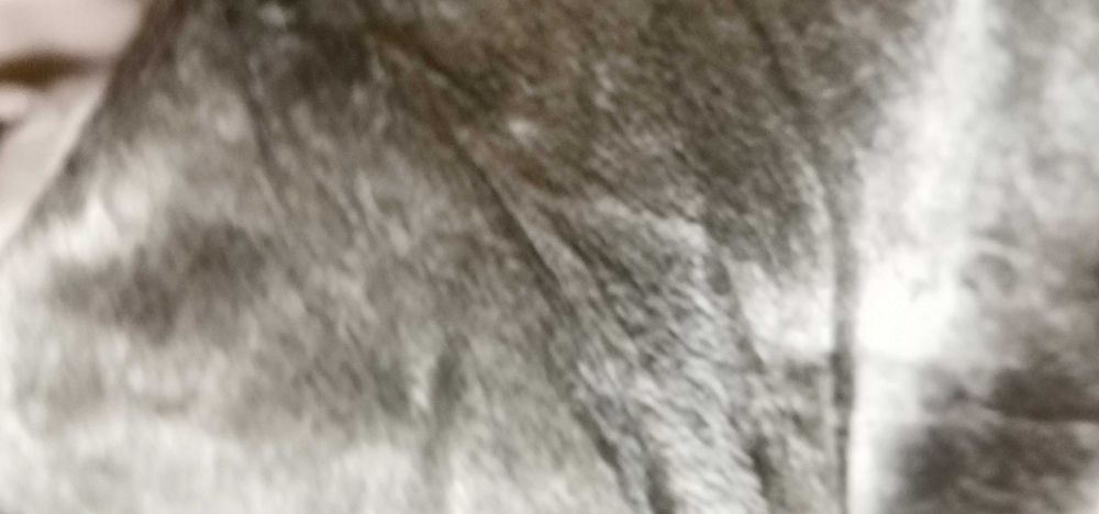 Дамско зимно яке -тип шуба