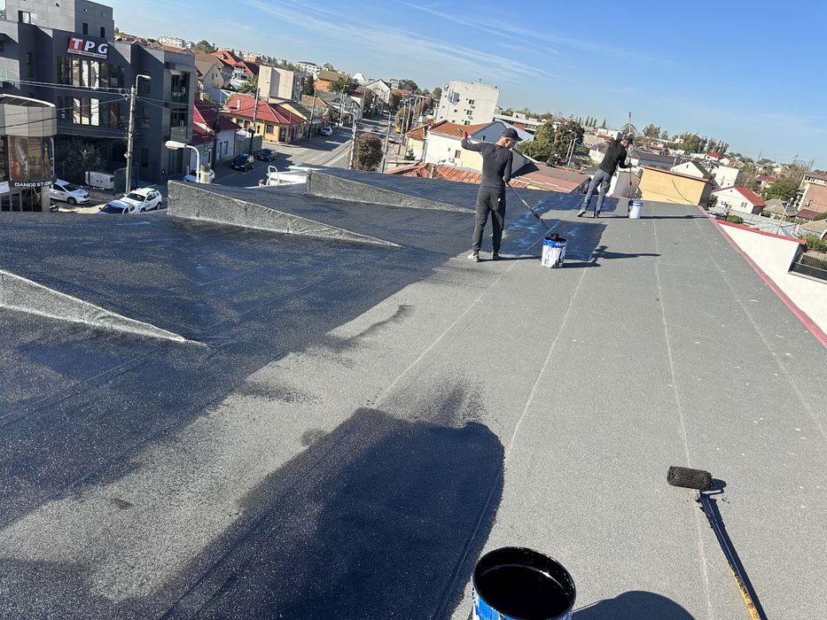 Toaletari/Taieri copaci interventii NON-STOP