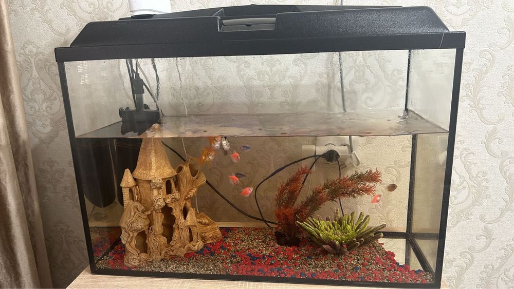 Продается аквариум.