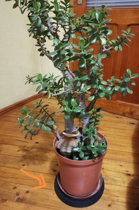 Въртяща поставка, 360°, 100кг