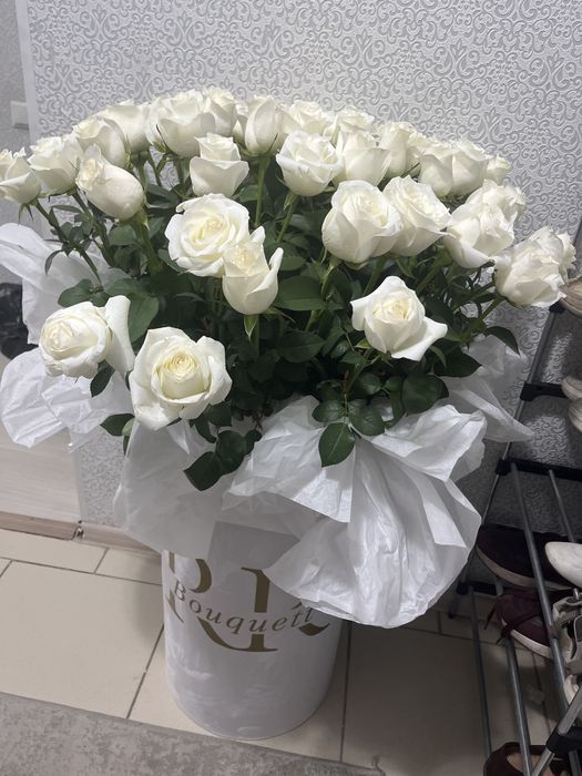 Роза белый нурсат